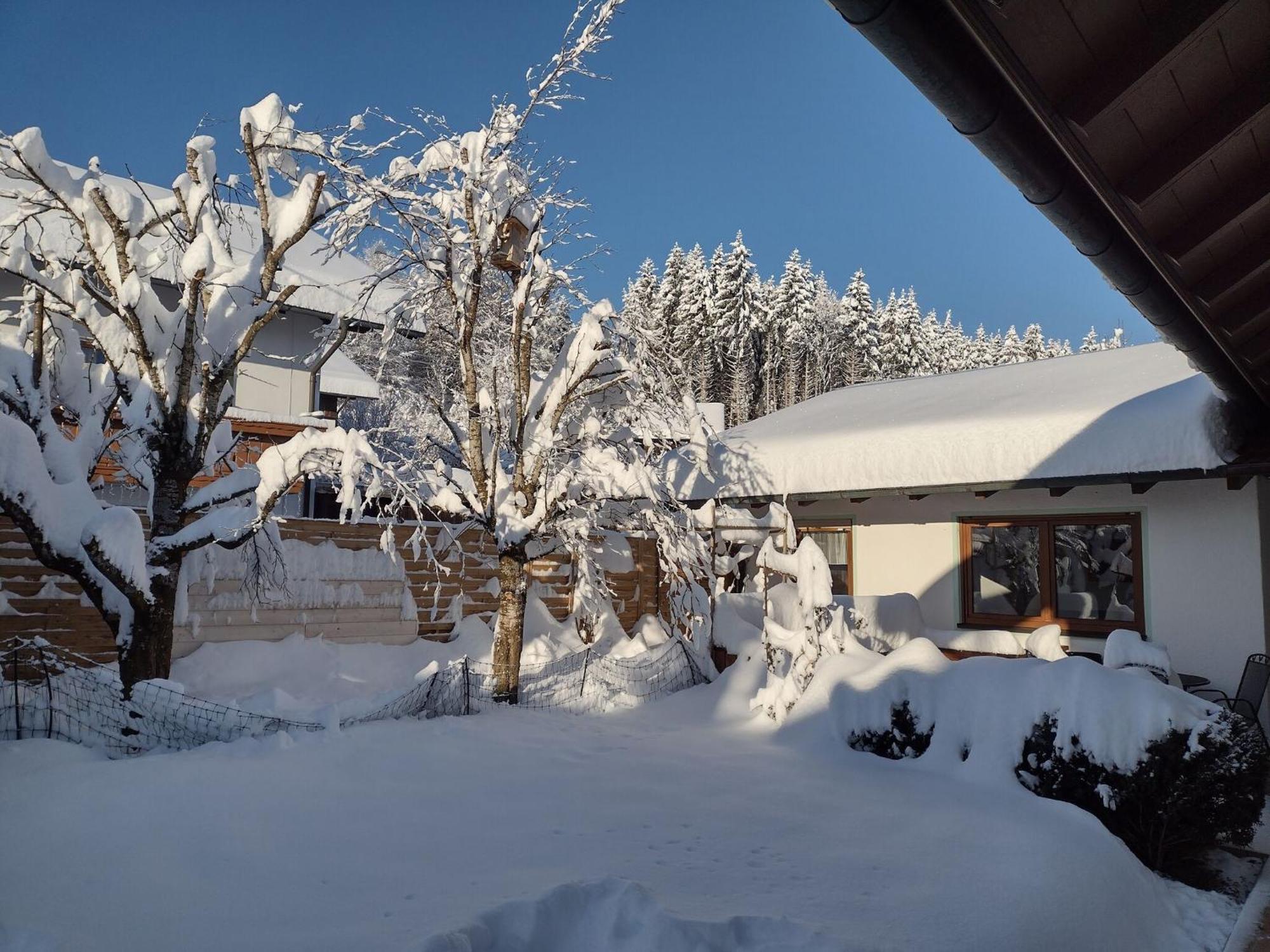 Cosy Holiday Home With Sauna In The Allg U Burggen ภายนอก รูปภาพ
